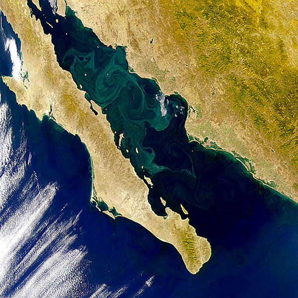 Baja California satellite image